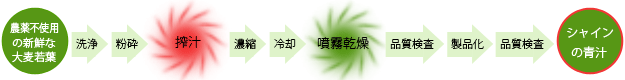 農薬不使用の新鮮な大麦若葉→洗浄→粉砕→搾汁→濃縮→冷却→噴霧乾燥→品質管理→製品化→品質管理→シャインの青汁