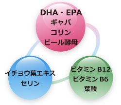 注目の成分をギュッと1粒に凝縮